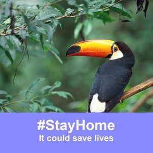 Meet your Posher, Jack